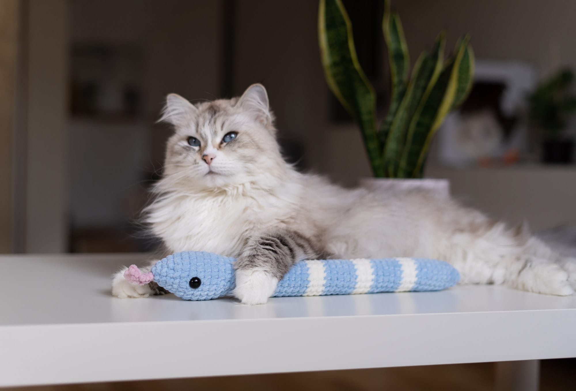 Duży kopacz dla kota Wąż Boa z kocimiętką i walerianą – rękodzieło Catorable.