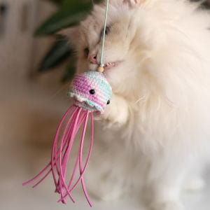Kot zaczepiający pazurkiem zabawkę wędkę Meduzę w różowym kolorze