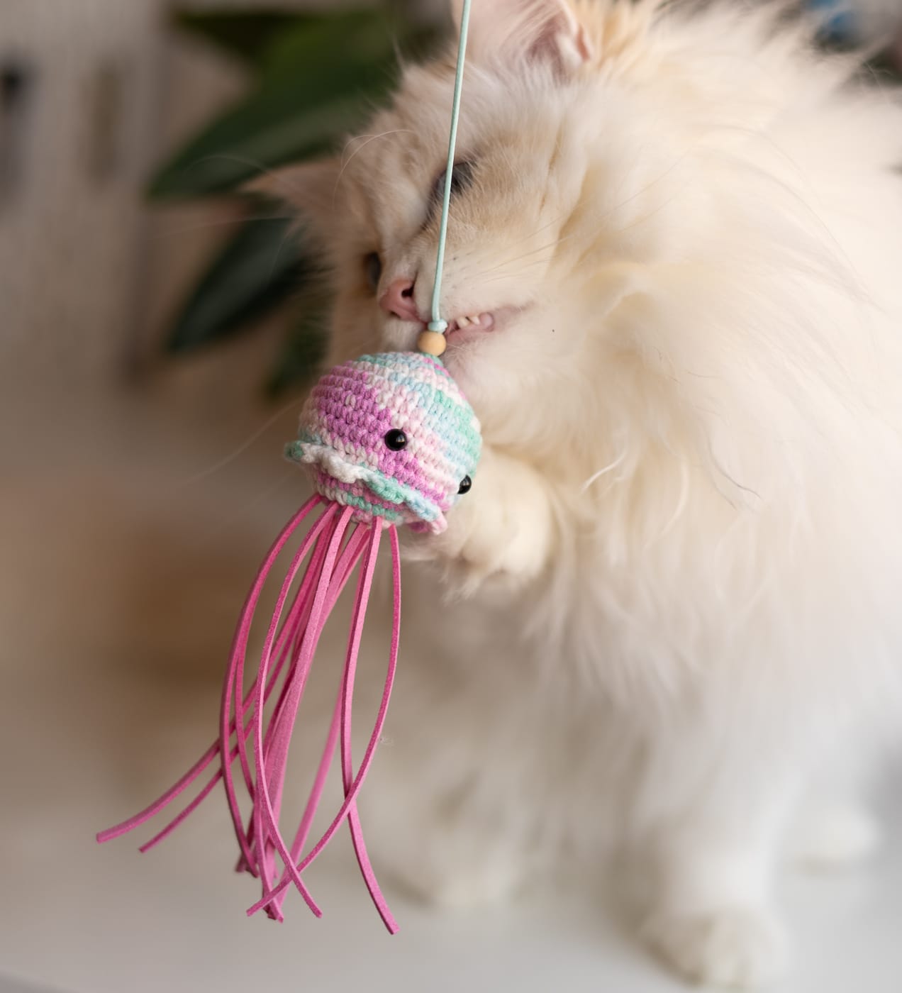 Kot zaczepiający pazurkiem zabawkę wędkę Meduzę w różowym kolorze