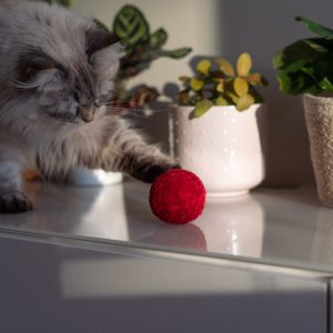 Miękka piłka dla kota z grzechotką Kula Mięciula w kolorze czerwonym