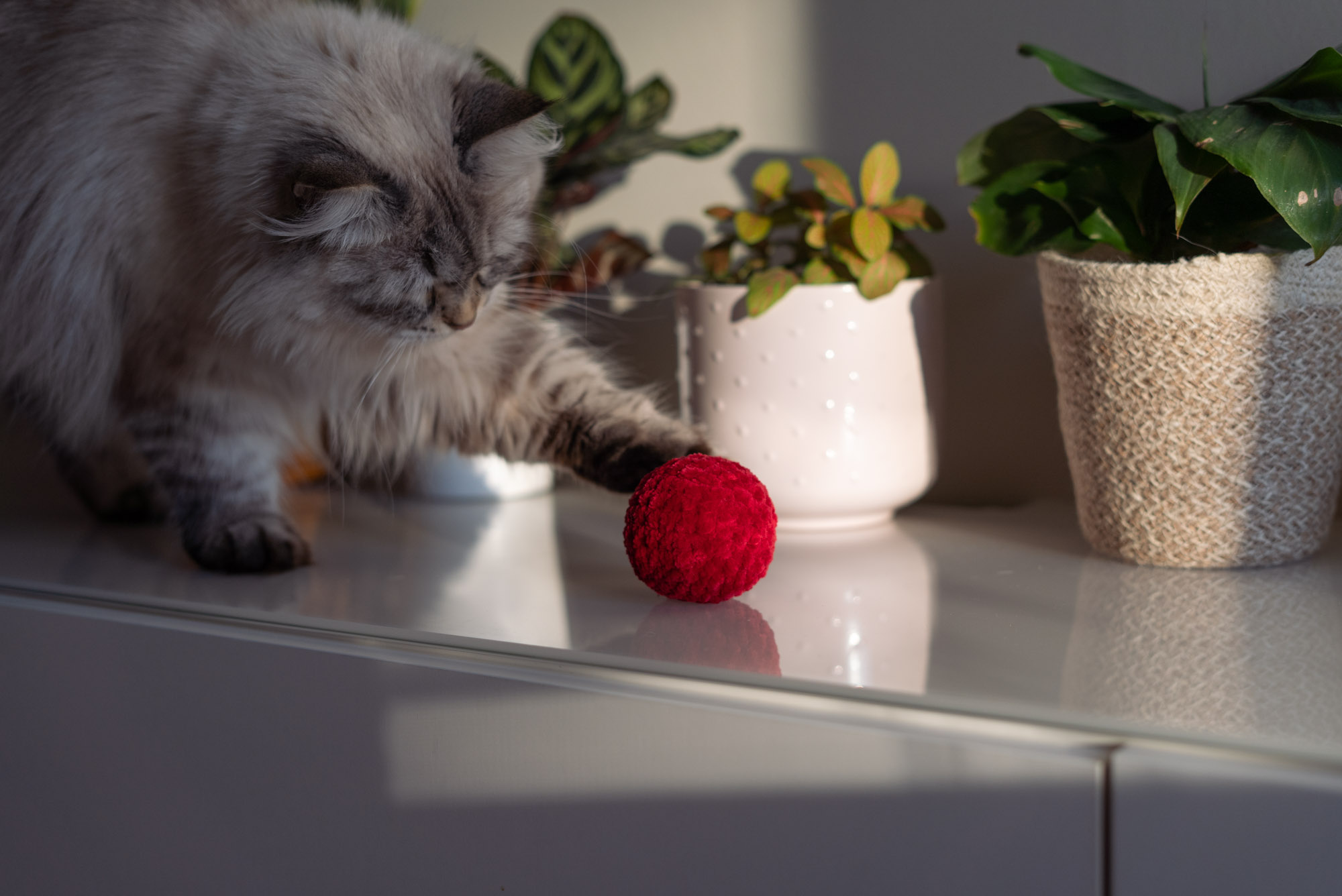 Miękka piłka dla kota z grzechotką Kula Mięciula w kolorze czerwonym