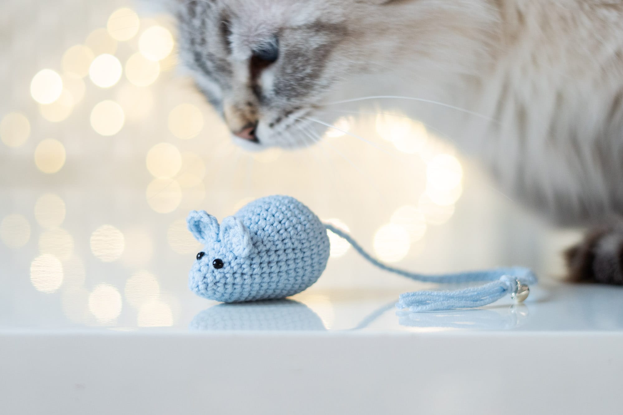 Myszka dla kota z kocimiętką i walerianą błękitna z kotem pochylającym się nad nią. w tle światełka