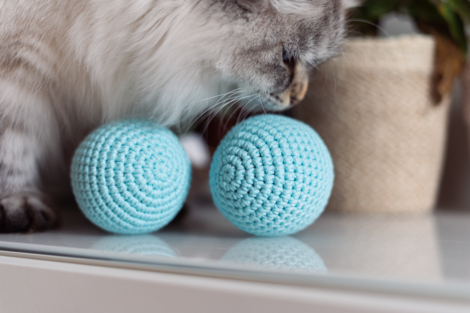 Kula Gigantula zabawka dla kota