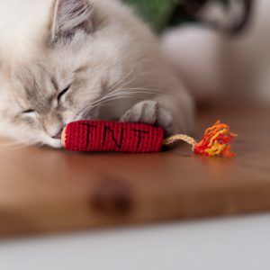 Czerwona szydełkowa zabawka dla kota w kształcie dynamitu z napisem TNT
