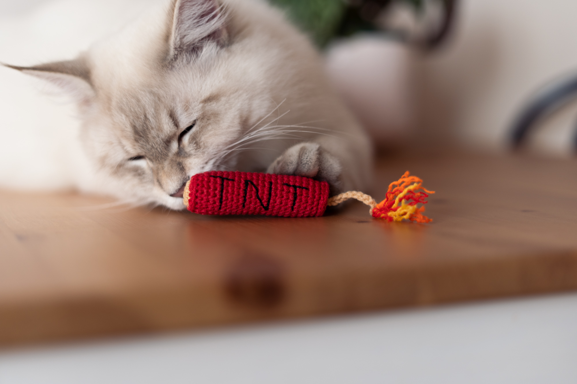 Czerwona szydełkowa zabawka dla kota w kształcie dynamitu z napisem TNT