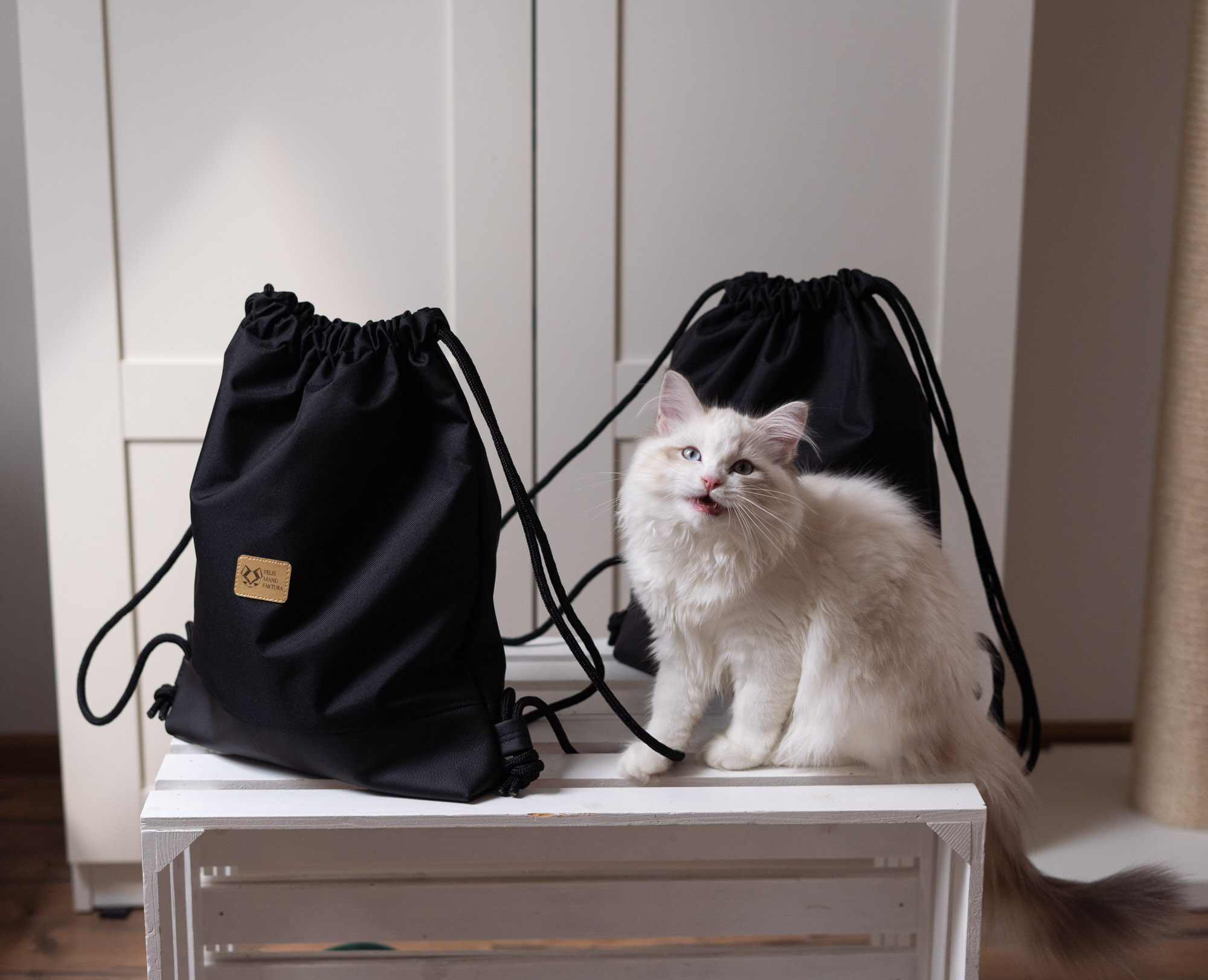 dwa czarne plecaki z tkaniny wodoodpornej prezentowane przez kota w manufakturze Catorable