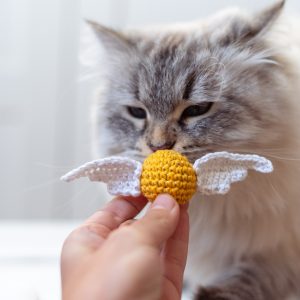 Skrzydlata Zabawka dla kota