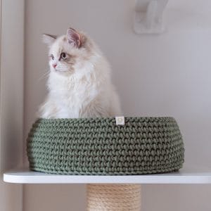 Kot syberyjski w legowisku Cat Nest szałwiowym które posadowione jest na białej półce drapaka