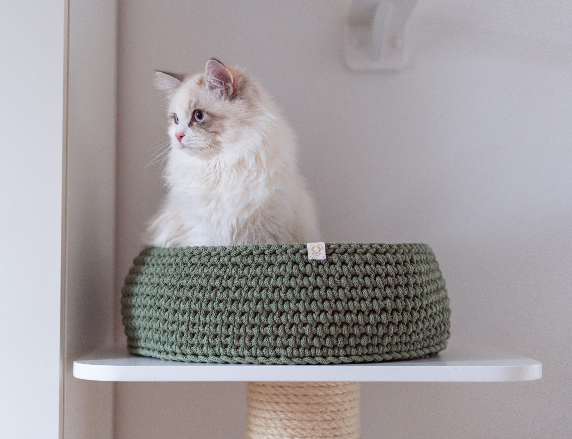 Kot syberyjski w legowisku Cat Nest szałwiowym które posadowione jest na białej półce drapaka