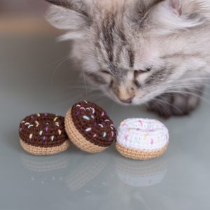 Donut dla kota z kocimiętką i walerianą