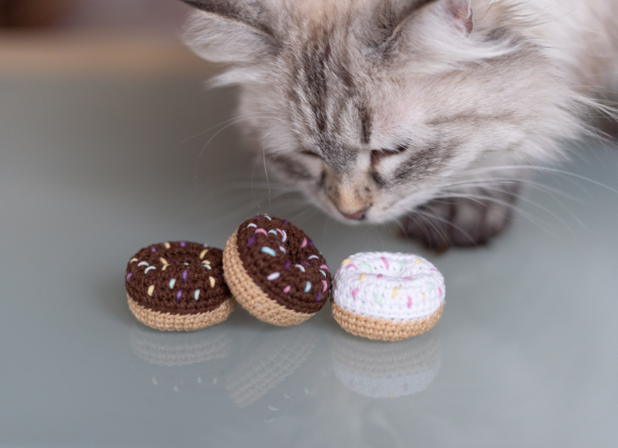 Donut dla kota z kocimiętką i walerianą
