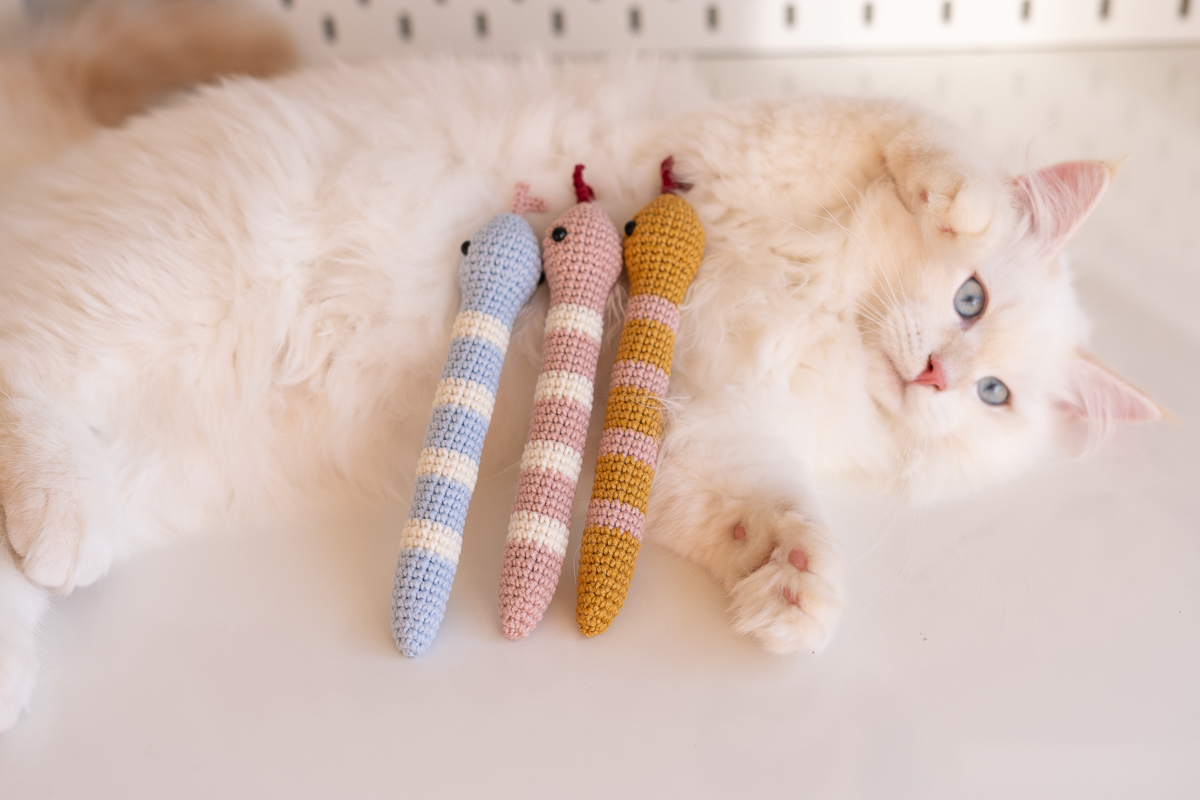 Wąż Walery Miętusss dla kota, zabawki pokazane dostępne kolory węża na tle puchatego brzucha jasnego kota. Błękitny, różowy i musztardowy wąż Catorable