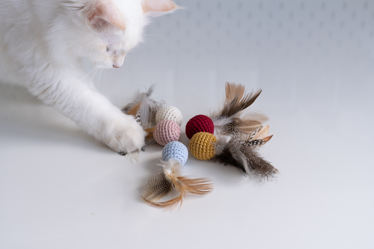 Kulka Pierzulka dla kota z kocmiętką i walerianą, kilka kolorów na białym stole, po lewo biały kot dotyka łapką zabawki