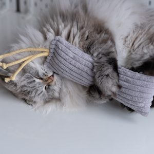 Kopacz szeleszczący