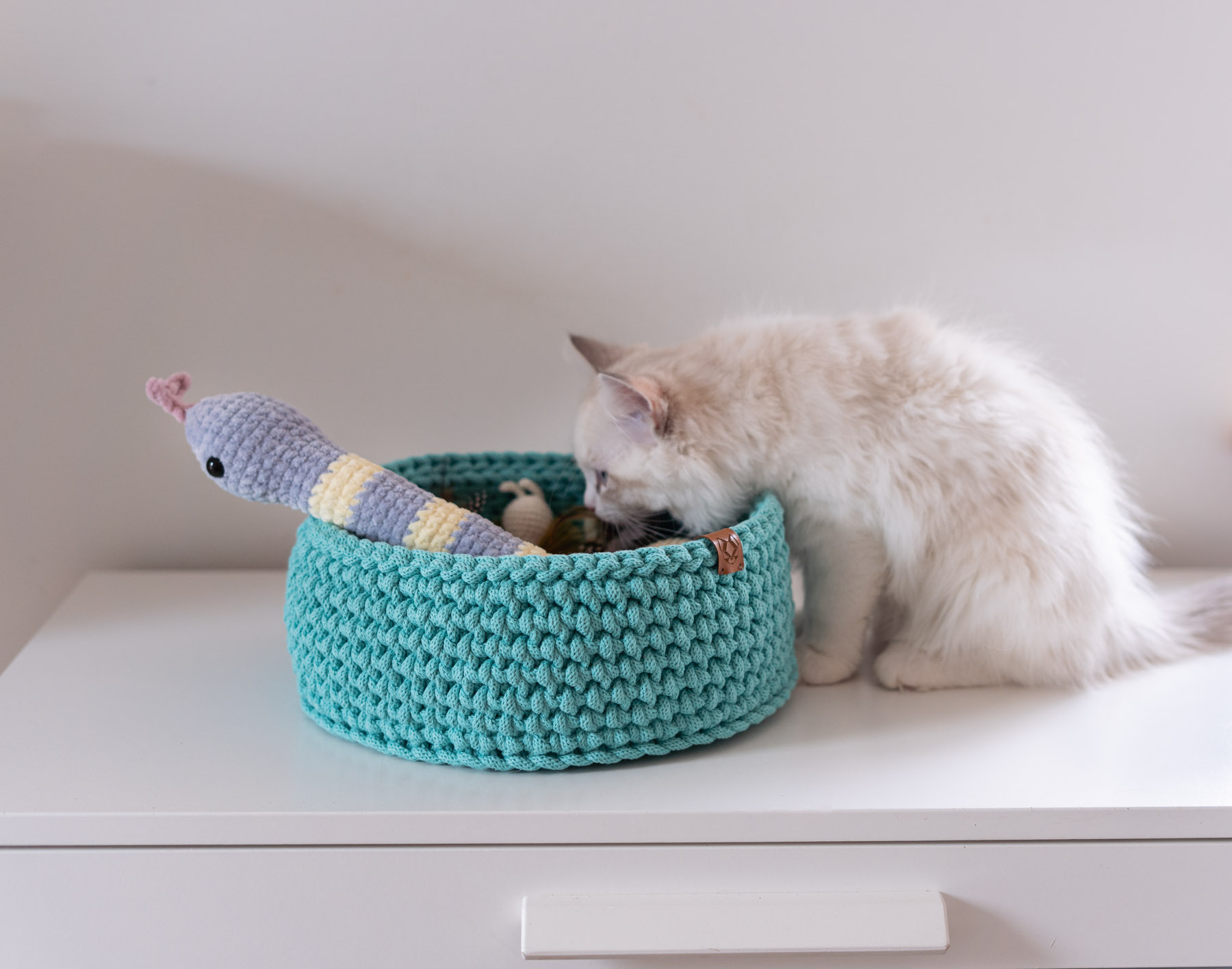 Koszyk na zabawki dla kota miętowy do którego zagląda puchaty kot. z koszyka wystaje pluszowy wąż z kocimiętką.