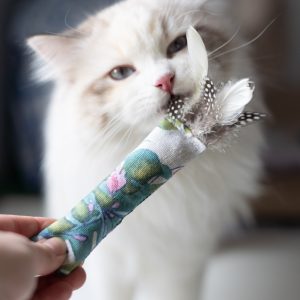 Mały kopacz dla kota z piórami w egzotyczne liście, puchaty kot w tle wącha zabawkę