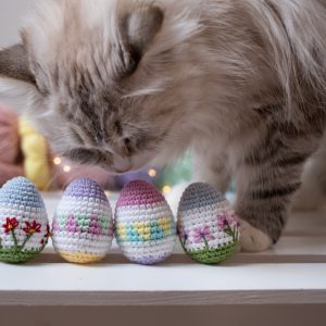 Puchaty kot wącha zabawki wielkanocne pisanki z kocimiętką i walerianą