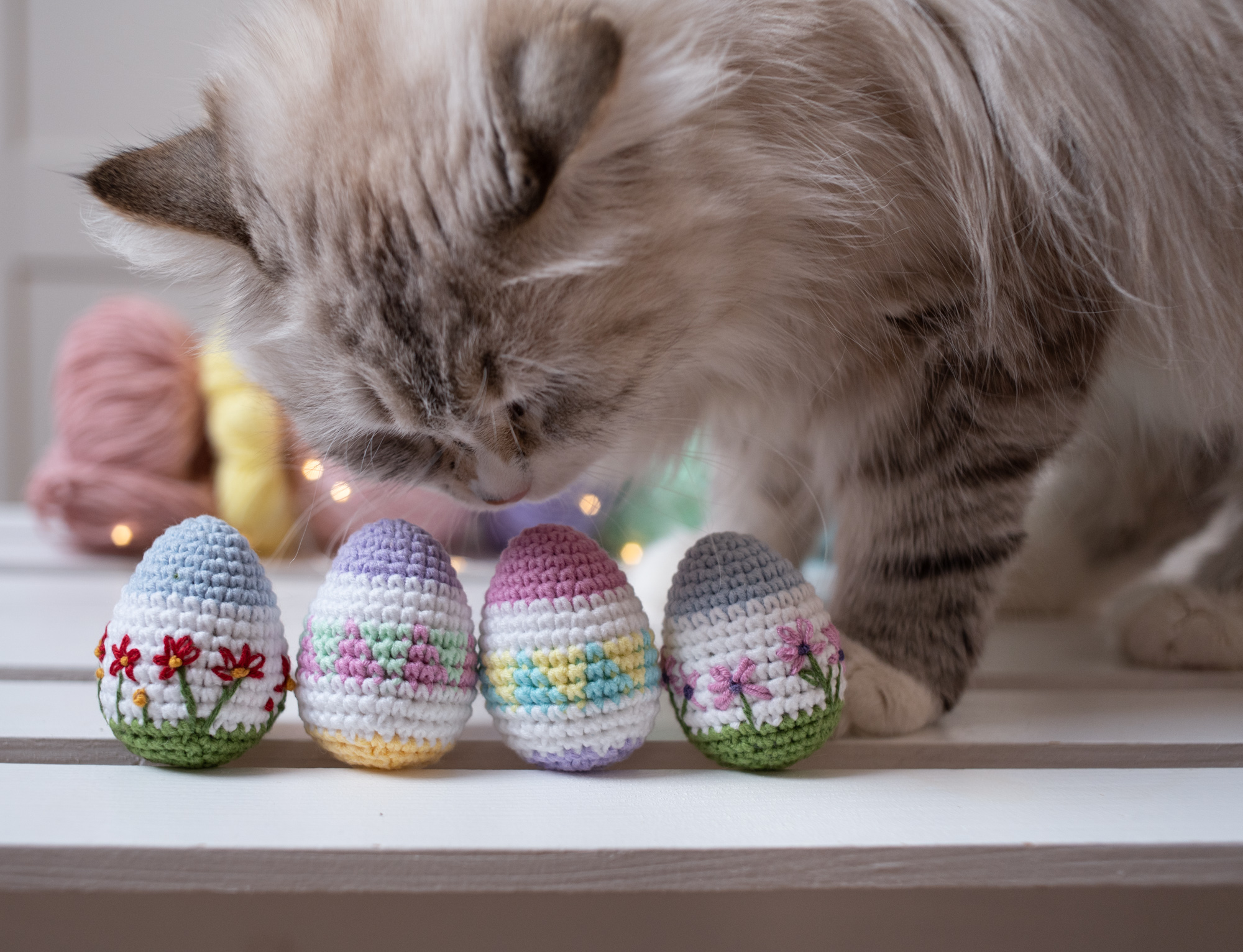 Puchaty kot wącha zabawki wielkanocne pisanki z kocimiętką i walerianą